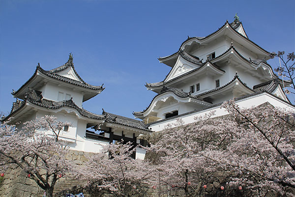 伊賀上野城