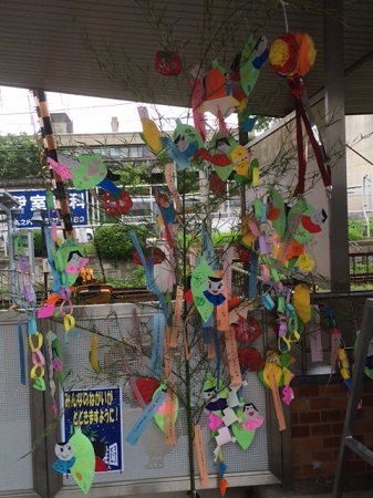 tanabata2018-3.jpeg